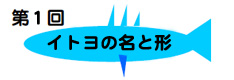 `P@Cg̖ƌ``